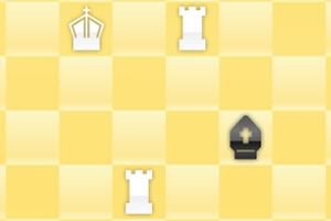 教你下国际象棋2