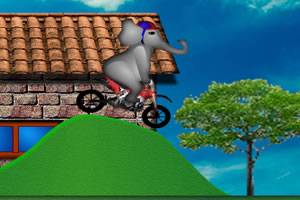 小象骑车