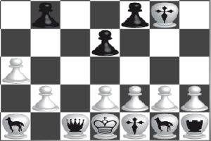 黑白象棋