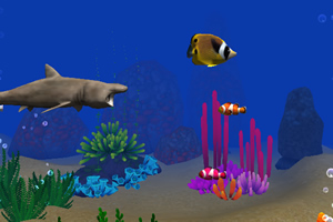 大鱼吃小鱼3D双人版2