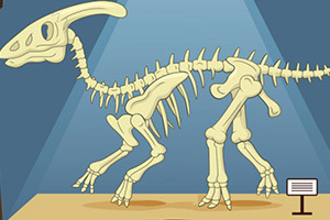 组装恐龙标本