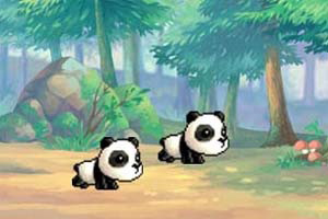 小熊猫历险记