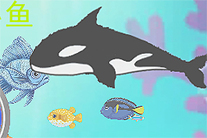 �����С��ǿ����