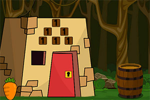 ��Ⱥ�������