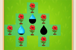 ��ֲ����