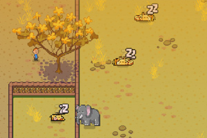 �������Զ���԰