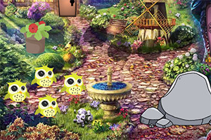 ��Ԯ��Ƥ�Ŀ�������