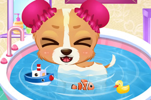 С���Ŀ���һ��