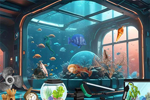 ���ܺ�������