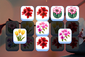 ����ƥ��