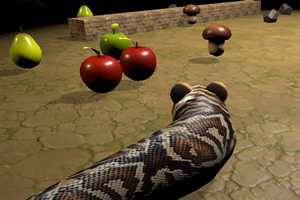 3D������