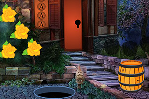 ��Ԯ�����Ķ���Ů��