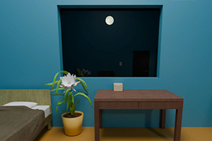 ����ҹ������