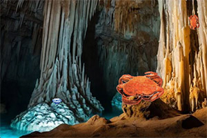 ����ʯ��