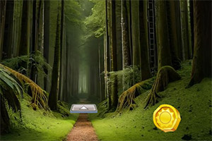 �ȳ������ĺ���