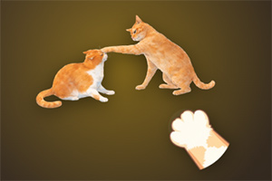 ��è�����