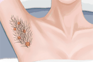 ����ʽ����