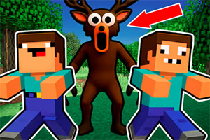 Σ�վ�ʮ��ҹ