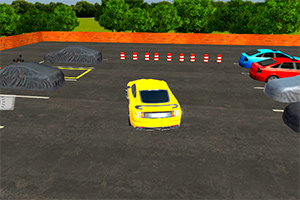 3Dͣ����ʦ